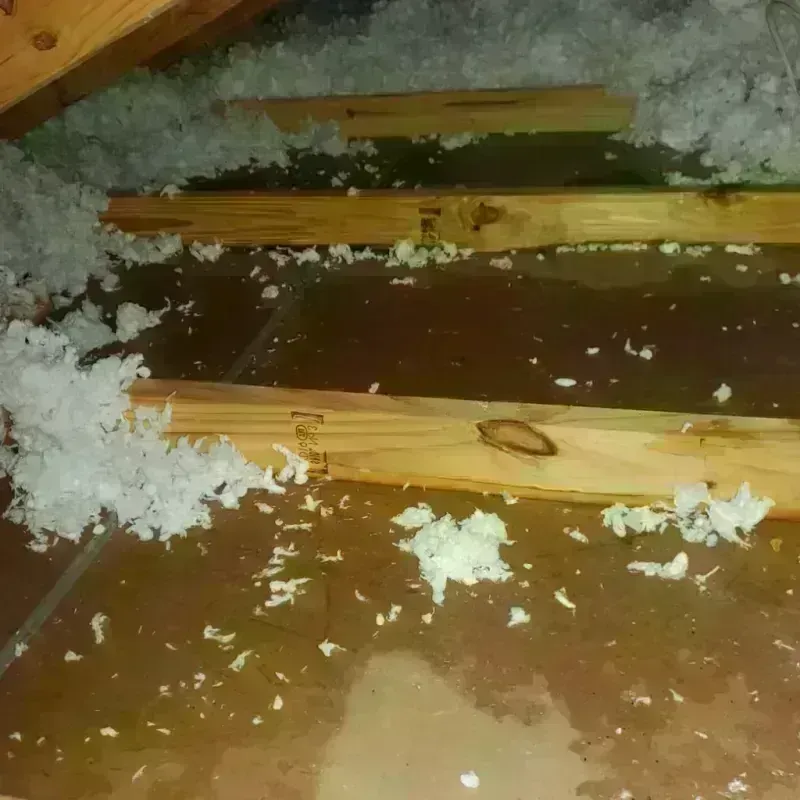 Attic Water Damage in Geneva, OH