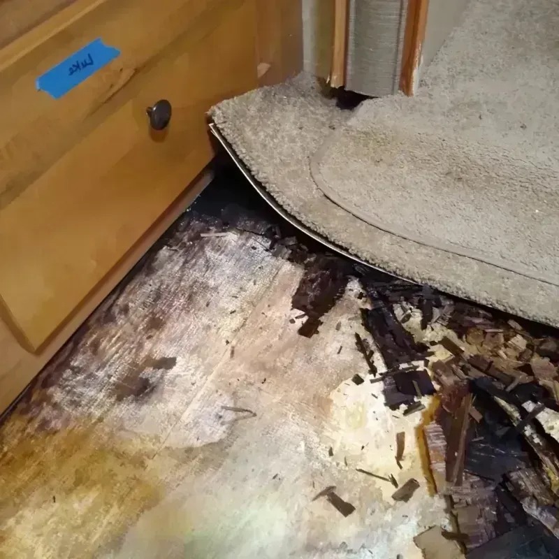 Wood Floor Water Damage in Geneva, OH